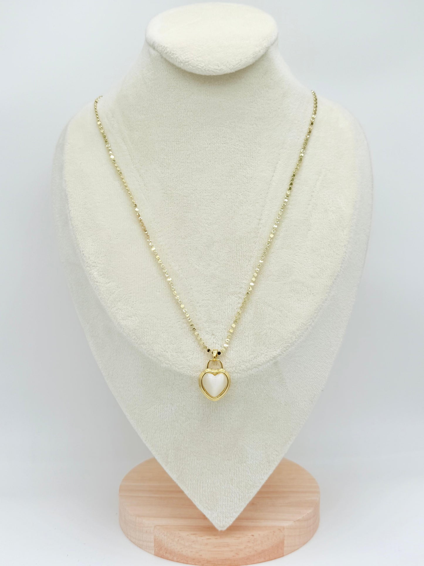 Çelik Kolye ÇKL531