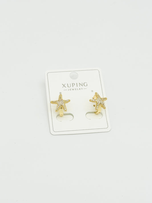 Xuping Küpe XKP409